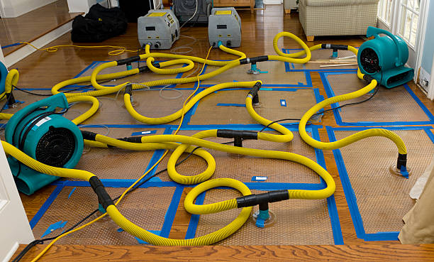 Professional Burst Pipe Water Damage technician working in Silver Creek, NY